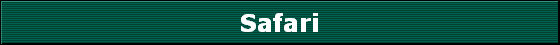 Safari